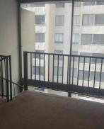 Проститутка Carol